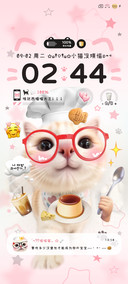 厨师眼镜小猫