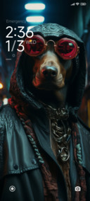 hacker dog