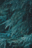 omid-armin-D8z5O2a1lYQ-unsplash