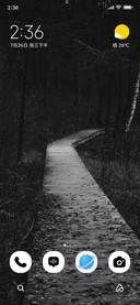 Dark Trail