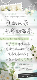 唯独山茶似你的温柔