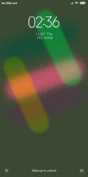 Has_DWM3