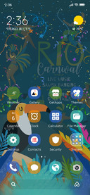 Toucan Carnival