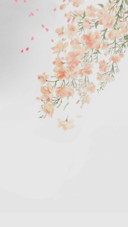 七月染柒