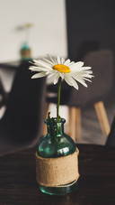 Beautiful flowers-01