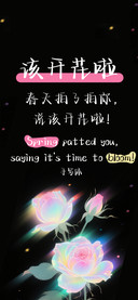 该开花啦