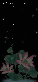 夜荷