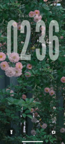 液态花屿景深