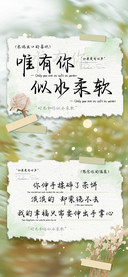 唯有你似水柔软