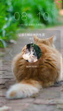 小笨猫（免费体验版）