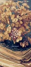 Books_3MDS