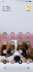 Cute Pup