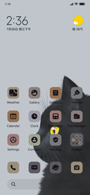 Black Cat