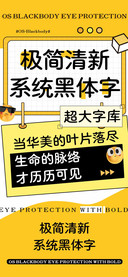 极简清新系统黑体字