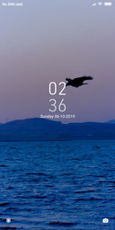 Eagle_DWM2
