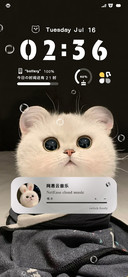 猫猫头
