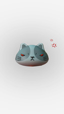 Star Cat