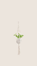 Artistic illustration