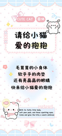 请给小猫爱的抱抱