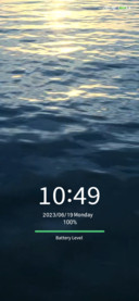 Sunny sea