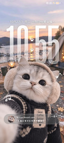 重感 小猫朋友圈