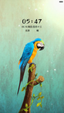 鹦鹉
