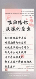 唯独给你玫瑰的爱意