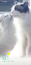 猫喵喵