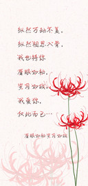 眉眼如初岁月如故