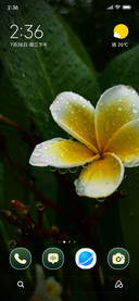 Dew Bloom
