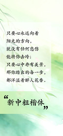 新中粗楷体