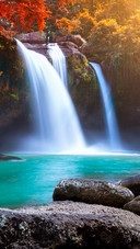 Scenery    (15)
