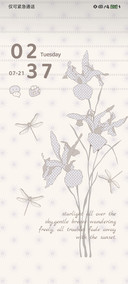 简约 鸢尾花集