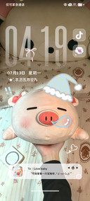 ins重感可爱宝猪
