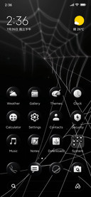 Black V