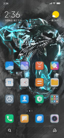 Lightning tiger