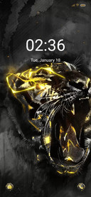 Tiger Warrior