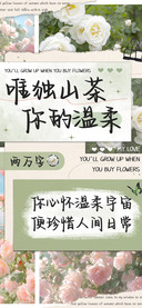 唯独山茶你的温柔