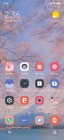sakura