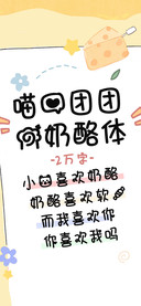 喵心团团的奶酪体