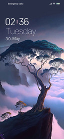 Cloud cedar