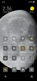Moon Shot