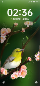 鸟语