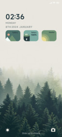 Foggy Forest