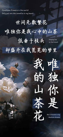 唯独你是我的山茶花