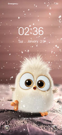 Angry Bird Warm