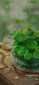 Green+luck