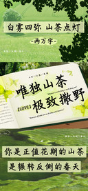 唯独山茶极致撒野