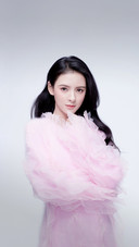 从网红变明星的艺人