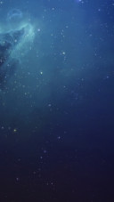 仰望星空的猫
